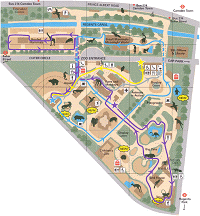 [Map of our route round the zoo]